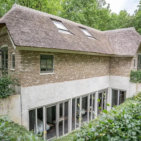 In Veluwe Near Speulderbos Forest * Ermelo