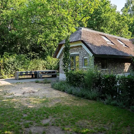 In Veluwe Near Speulderbos Forest *