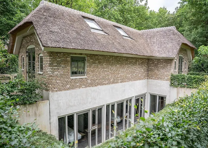 In Veluwe Near Speulderbos Forest * Ermelo