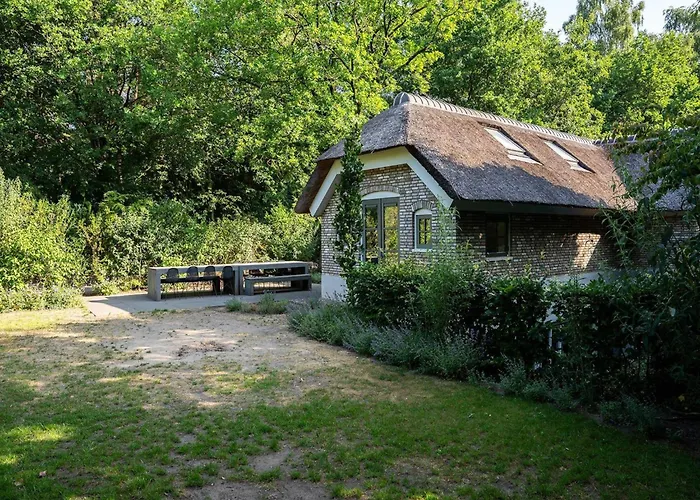 In Veluwe Near Speulderbos Forest *