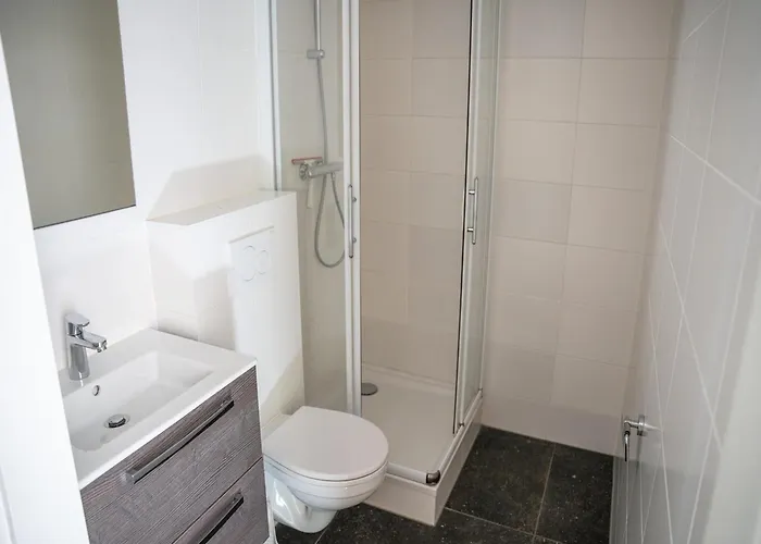 In Veluwe Near Speulderbos Forest Ermelo