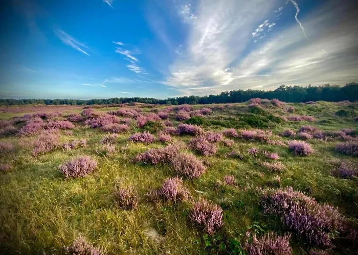 Dom wakacyjny In Veluwe Near Speulderbos Forest