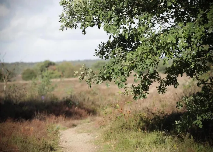 Dom wakacyjny In Veluwe Near Speulderbos Forest