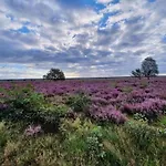 Σπίτι διακοπών In Veluwe Near Speulderbos Forest Ermelo