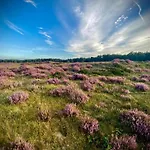 Σπίτι διακοπών In Veluwe Near Speulderbos Forest