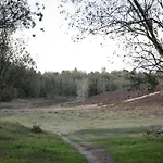 In Veluwe Near Speulderbos Forest Ermelo