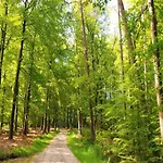 Σπίτι διακοπών In Veluwe Near Speulderbos Forest *