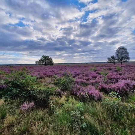 Holiday home In Veluwe Near Speulderbos Forest Ermelo