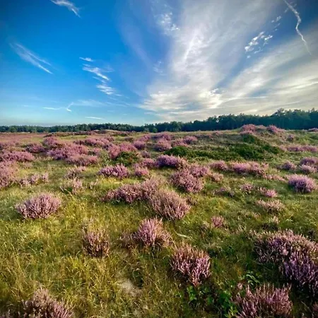 Holiday home In Veluwe Near Speulderbos Forest