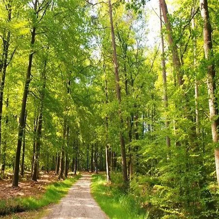 Holiday home In Veluwe Near Speulderbos Forest *